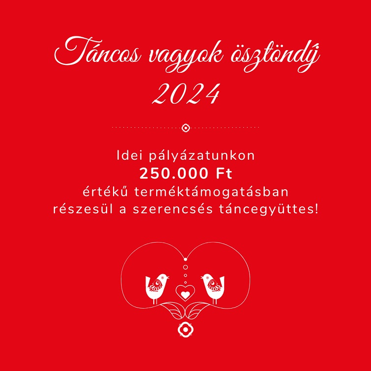 Táncos vagyok ösztöndíj 2024